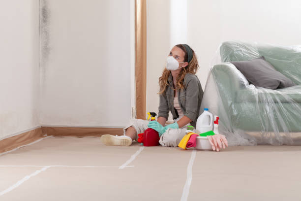 Reliable Commercial Mold Remediation contractor in Richardsville, VA by WQB Mold Removal